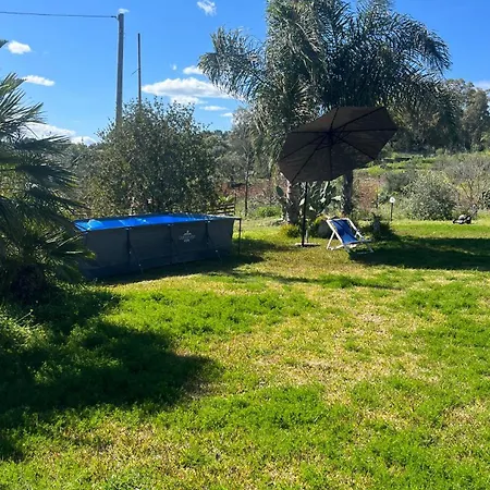 Garden *